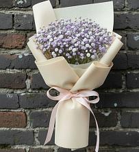 Букет цветов из:  Гипсофила в Мучкапский