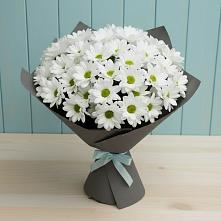 Букет цветов из:  Хризантемы в Мучкапский
