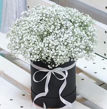 Цветочная композиция из Гипсофила в шляпной коробке #REPLACE_PRED# Мучкапский