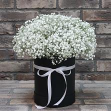 Цветочная композиция из Гипсофила в шляпной коробке в Мучкапский